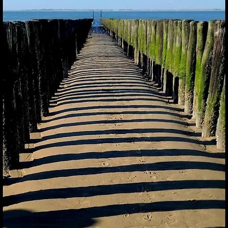 Seafront On Seawall Of Knokke-duinbergen דירה