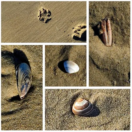 Seafront On Seawall Of Knokke-duinbergen קנוקה-הייסט